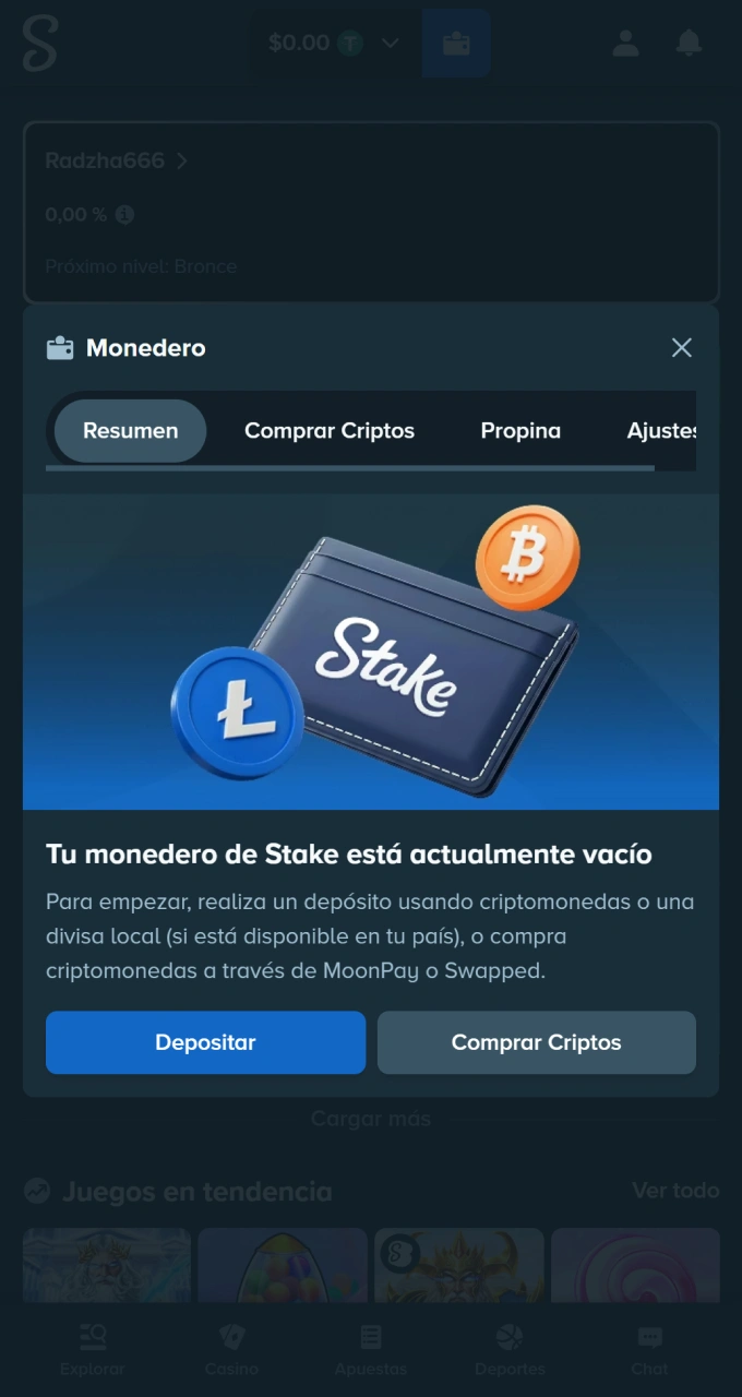 Inicia sesión en tu billetera para depositar fondos en Stake.